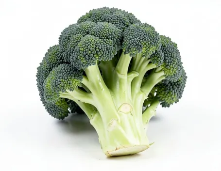 Broccoli 