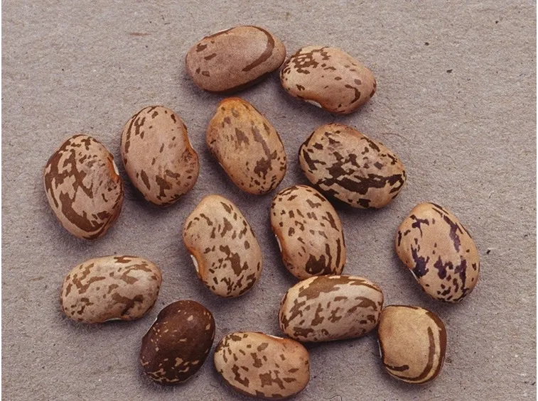 Fagioli
