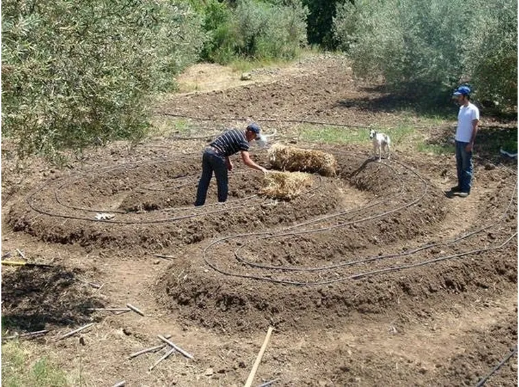 Orto 
