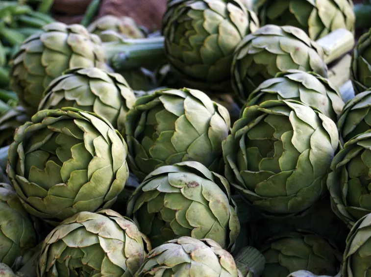 Carciofi