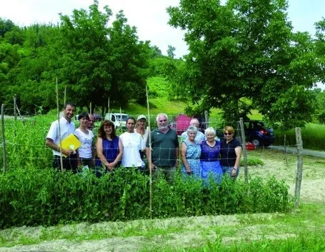 coltivazione di piselli in terra