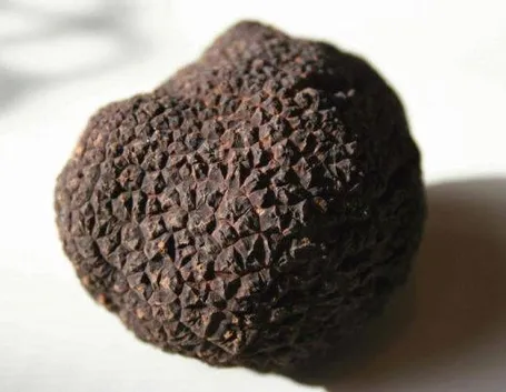 tartufi 