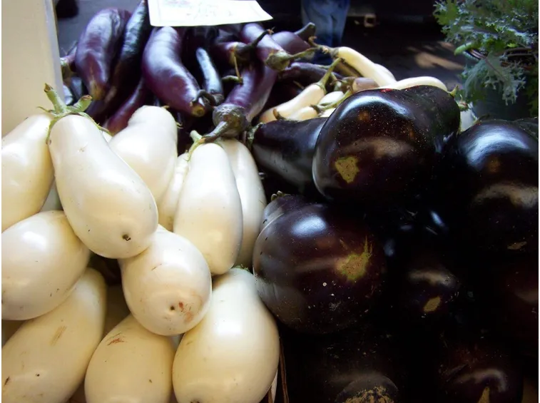 Diverse varietà di melanzane
