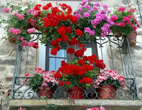 balcone1