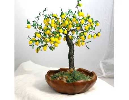 Bonsai limone cure 