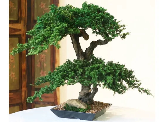bonsai artificiale