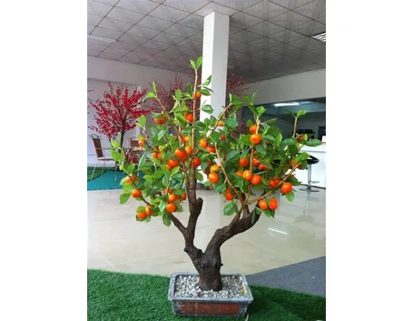 bonsai pesco grande