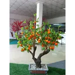 bonsai pesco grande