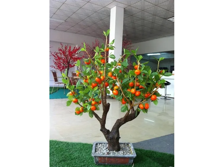 bonsai pesco grande
