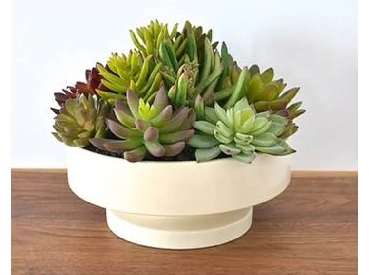 piante finte vaso 