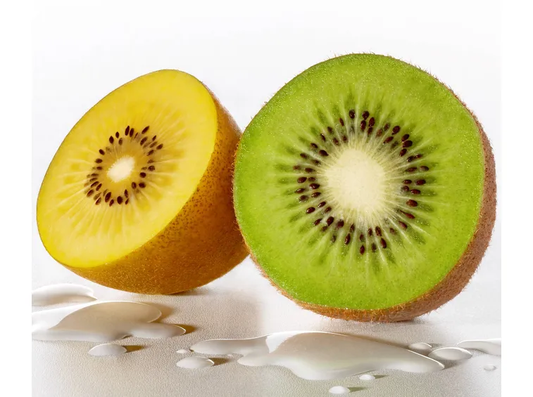 La specie gold e la specie verde del kiwi
