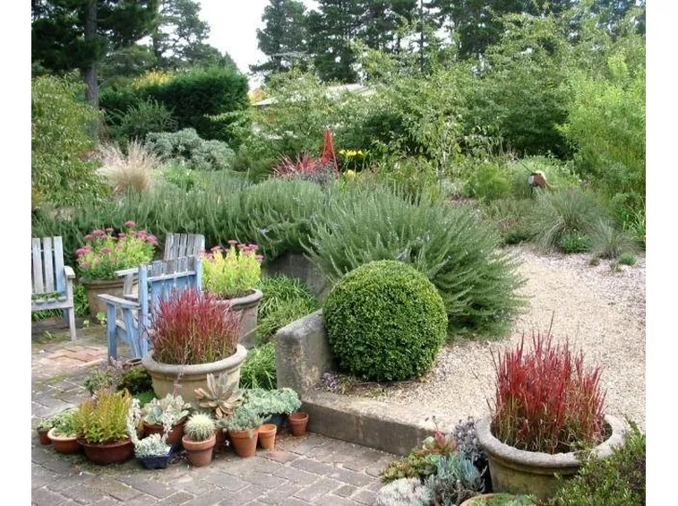 Un angolo di giardino arredato con piante in vaso