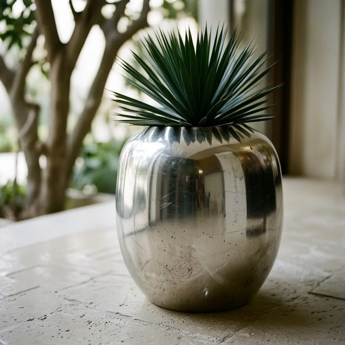 vaso 