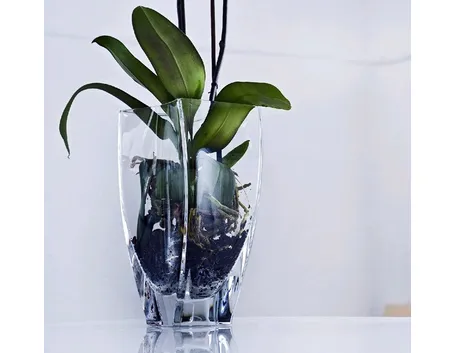 vaso orchidee Cristal Sèvres