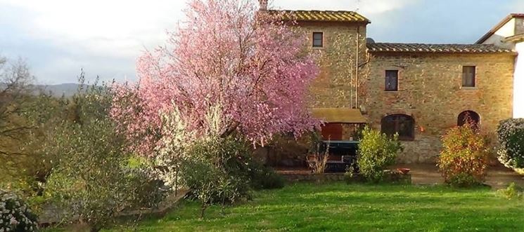 Agriturismo in Toscana