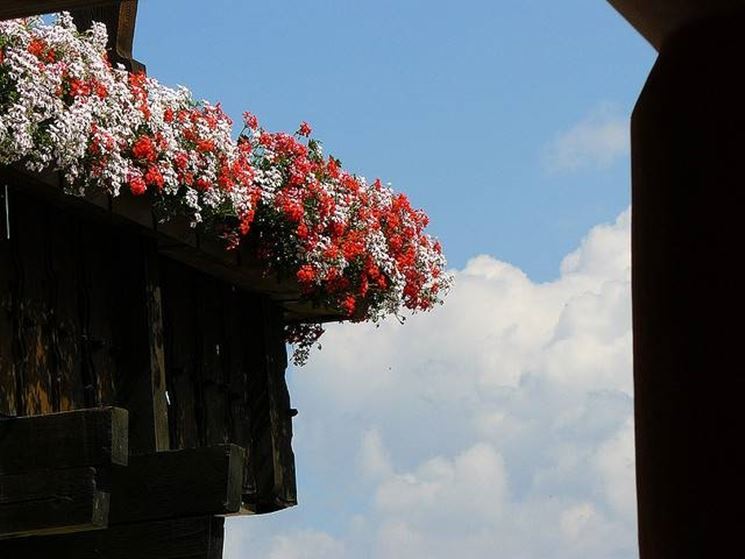 Balcone in fiore