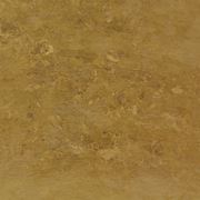 Una compisizione floreale porter una ventata di colore ed allegria nella vostra casa. (Fonte: Frogview.com)