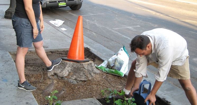 Azione di guerrilla gardening