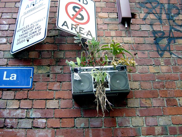 Segni di guerrilla gardening cittadina