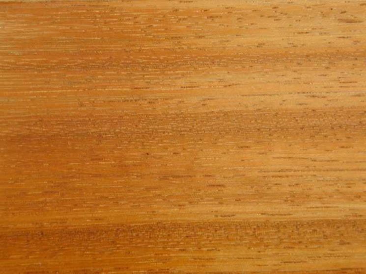 Texture legno iroko