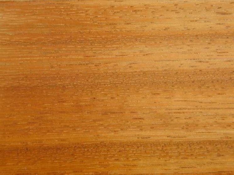 Texture legno iroko