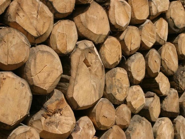 pezzi di legno da stufa