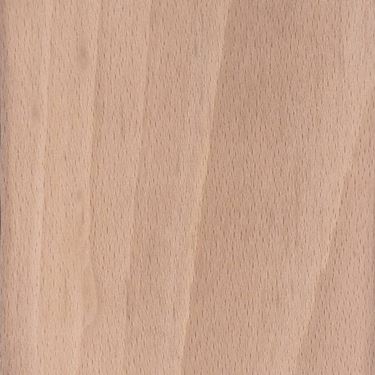 legno di faggio 