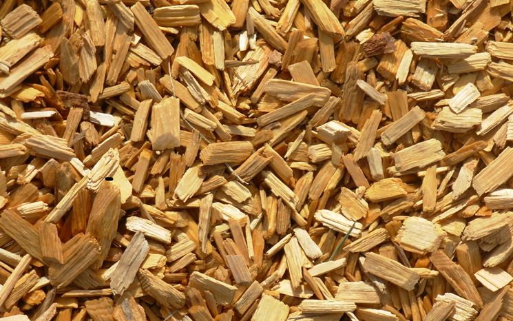 Chips per il riciclo del legno