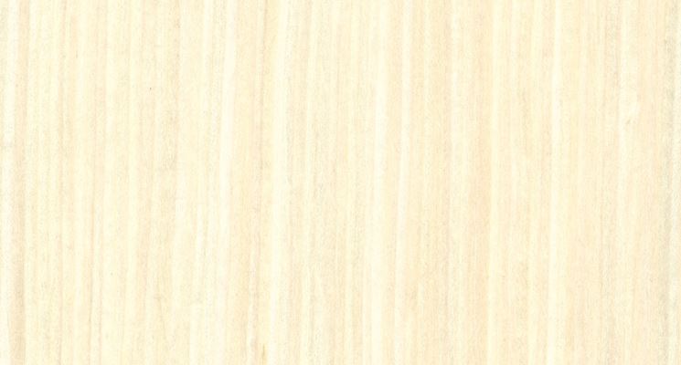 Legno d'acero