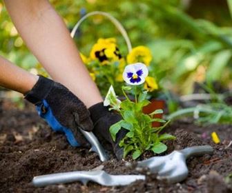 Fare Giardinaggio