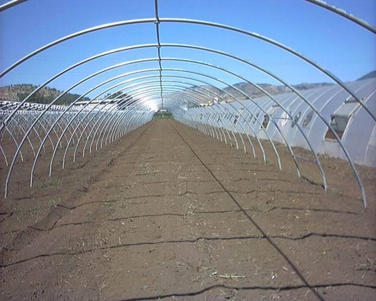 Come costruire una serra fare giardinaggio istruzioni per ... Come costruire serra