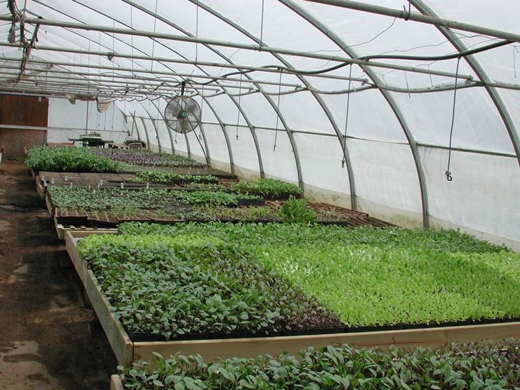 Come costruire una serra fare giardinaggio istruzioni per ... Come costruire serra