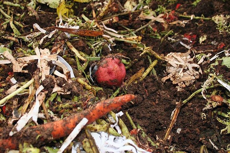 rifiuti adatti compost