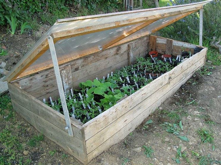 Come realizzare un semenzaio - Fare Giardinaggio - Il ...