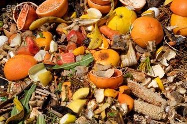 Materia organica per il compost