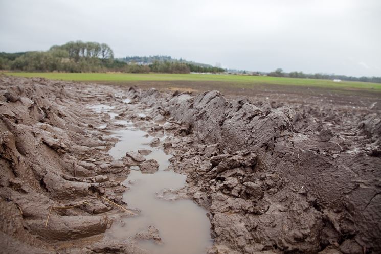 Ristagno idrico su terreno argilloso