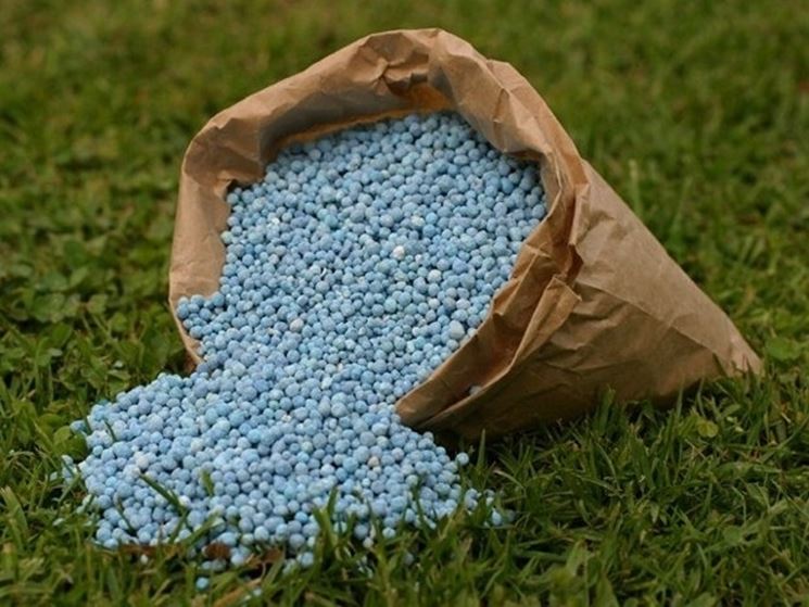 fertilizzante per giardino