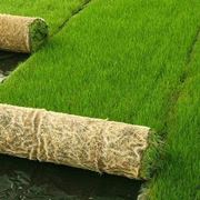 Un giardino curato come angolo di autentico relax