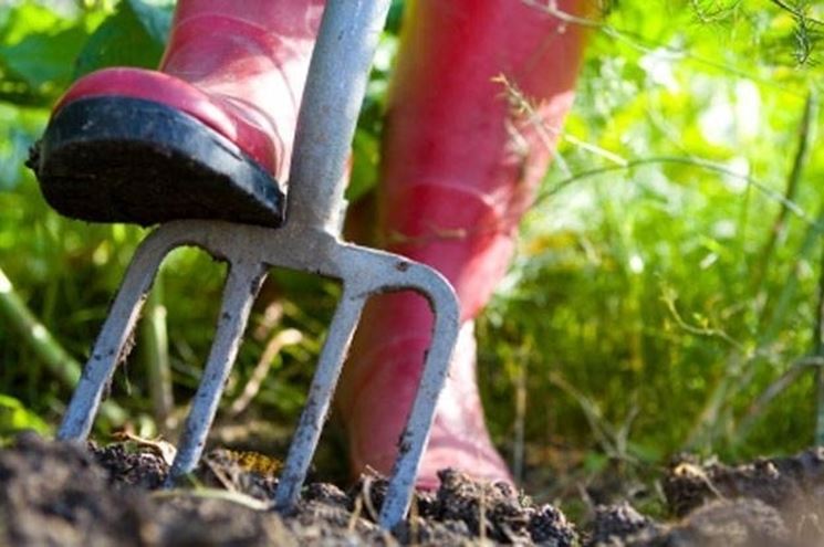 La preparazione del terreno prima della stesura dei rotoli di prato