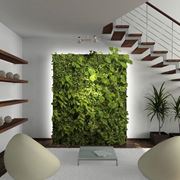 Un soggiorno adornato da una parete verde