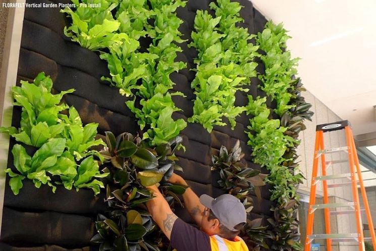 Benefici delle pareti verdi quale giardino pareti verdi ... Giardino a parete