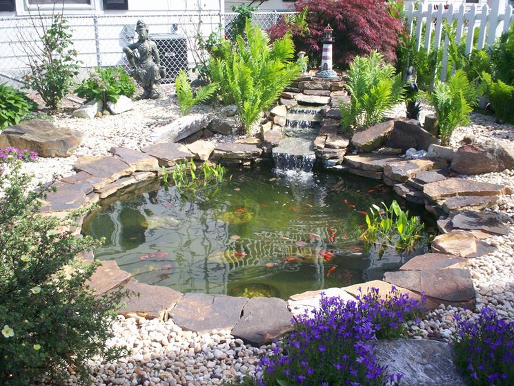 Bellissimo giardino acquatico casalingo
