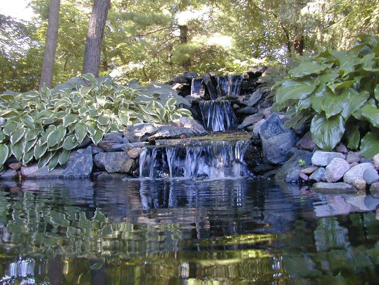 Giardino d'acqua completamente naturale