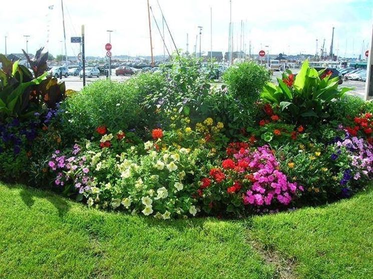 Esempi di colorazioni per aiuole. Fonte: http://i297.photobucket.com.