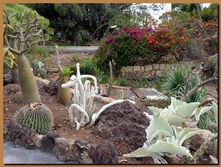 Realizzare aiuole da giardino quale giardino realizzare aiuole ... Composizione piante grasse giardino