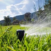 Uno sprinkler in funzione