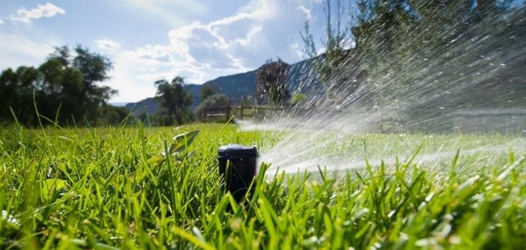 Uno sprinkler in funzione