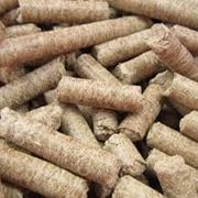 Ecocombustibile per stufe : il pellet