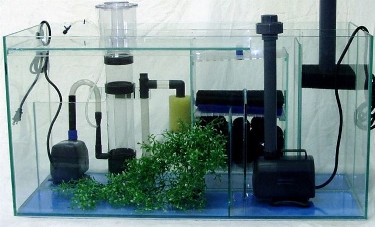 Acquario comprensivo di attrezzatura