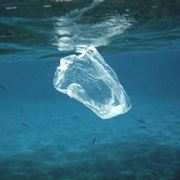 Sacchetti di plastica che inquinano le spiagge